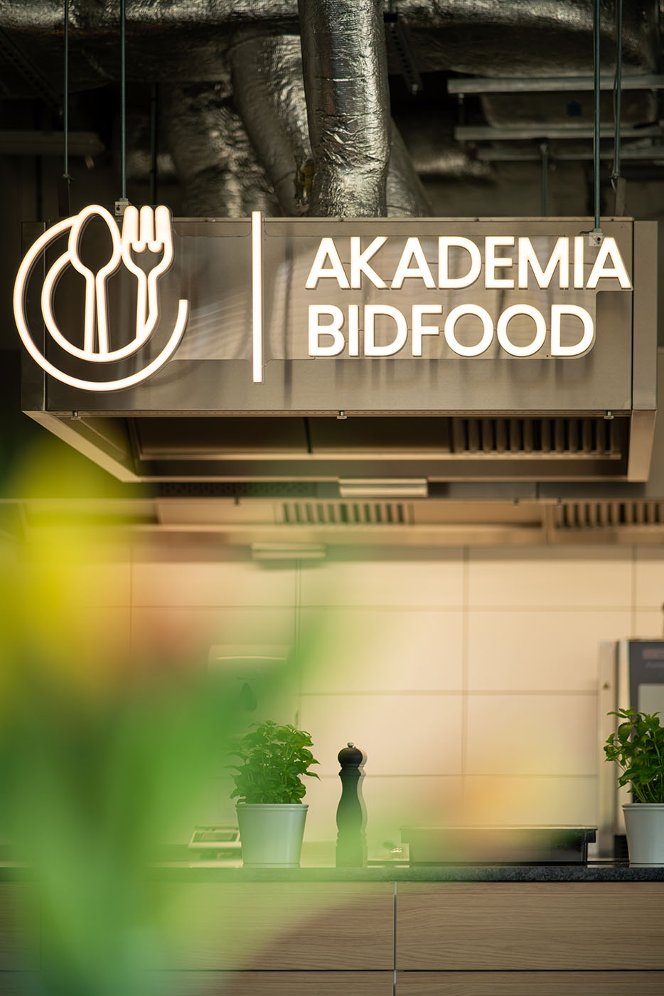 Podświetlany logotyp widziany zza zieleni, Akademia Bidfood