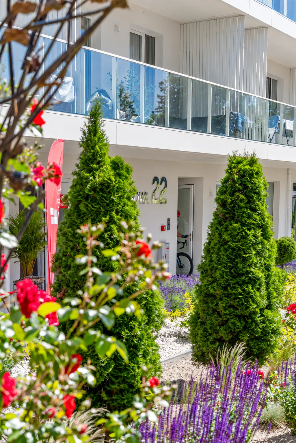 Czerwone róże przy wejściu do budynku Apartamentów Klifowa 22 w Rewalu